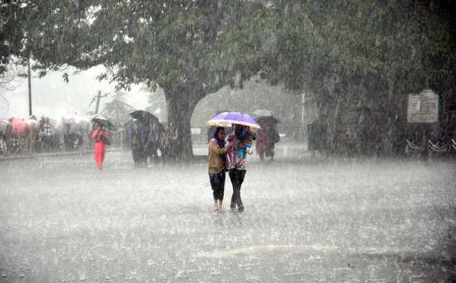 Tapi, Rajkot, Jamnagar, Surat and Bhavnagar among other parts of state woke up to rain today