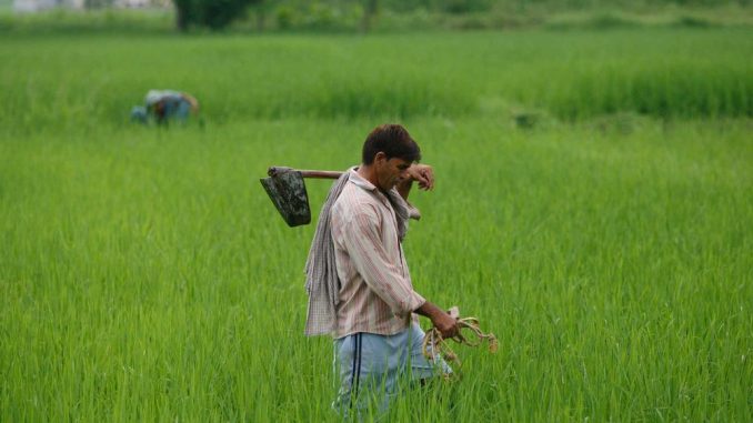 Vadodara Expectations of farmers from Budget 2020