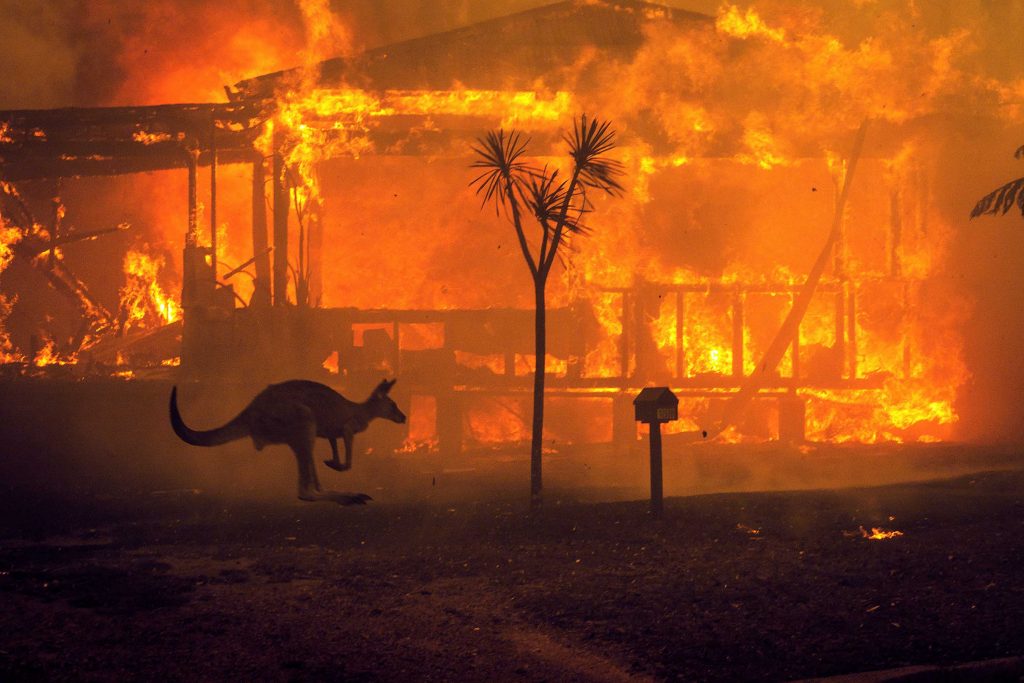bushfires-are-horrendous-but-expect-cyclones-floods-and-heatwaves-too