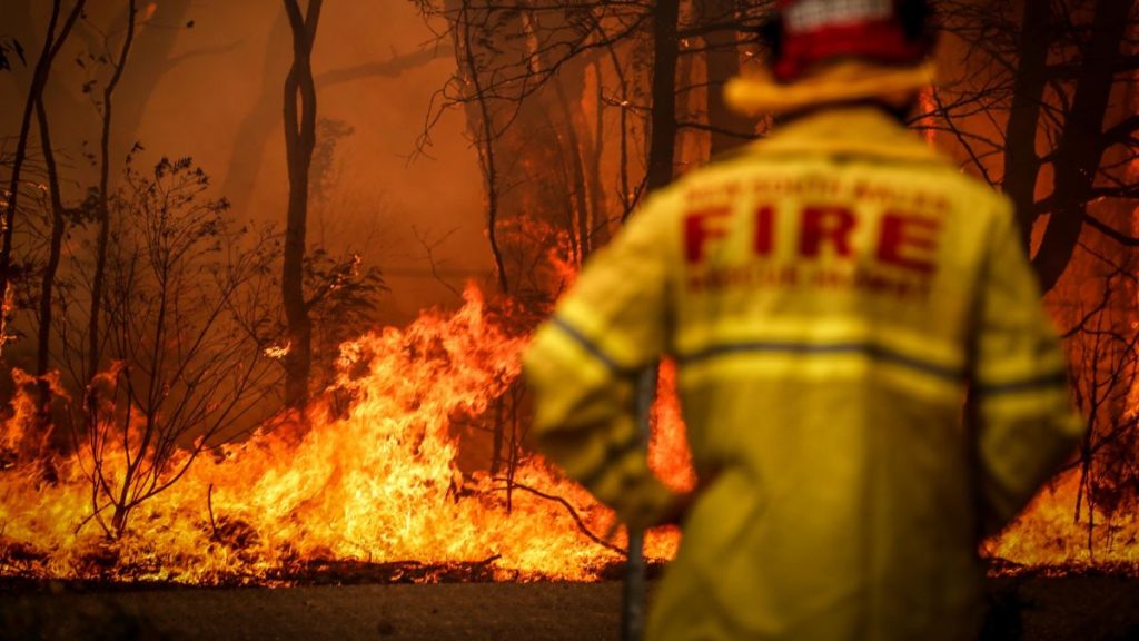 australia-fires-military-ships-and-helicopters-began-rescue-thousands-of-tourists