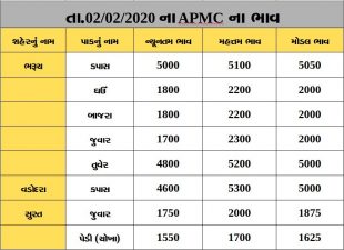 Gujarat All APMC Latest rates of 21 February 2020 Gujarat ni badhij APMC na Mandi rates