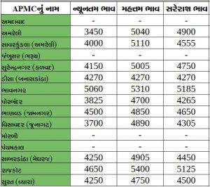 Gujarat All APMC Latest rates of 11 February 2020