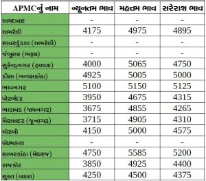 Gujarat All APMC Latest rates of 13 February 2020