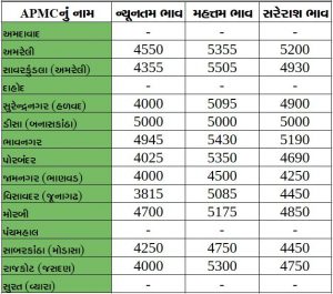 Gujarat All APMC Latest rates of 27 February 2020 Gujarat ni badhij APMC na Mandi rates