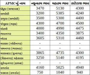 Gujarat All APMC Latest rates of 20 March 2020 Gujarat ni badhij APMC na Mandi rates