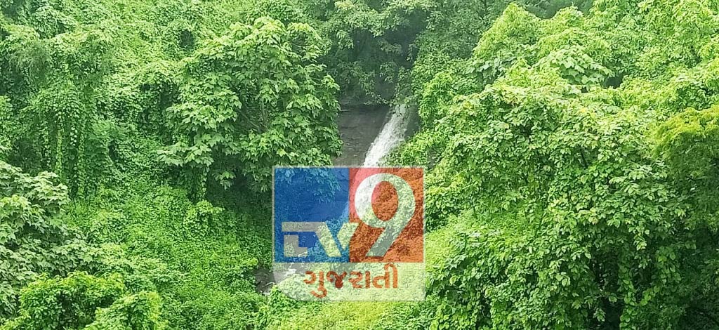 Bharuch na reserve forest ma mali aavya 2 nava waterfall, vanvibhage bane dodh ne pravasan sthad banava na prayas sharu karya