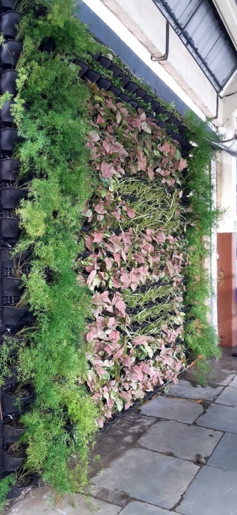 Bharuch: Railway station uper beautyfication sathe pradushan control mate vartical garden taiyar karayu