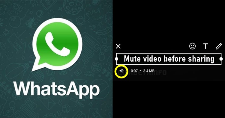  Whatsapp lavi rahyu che nava features mute ane read letter fiders app no anubhav romanchak banavse 